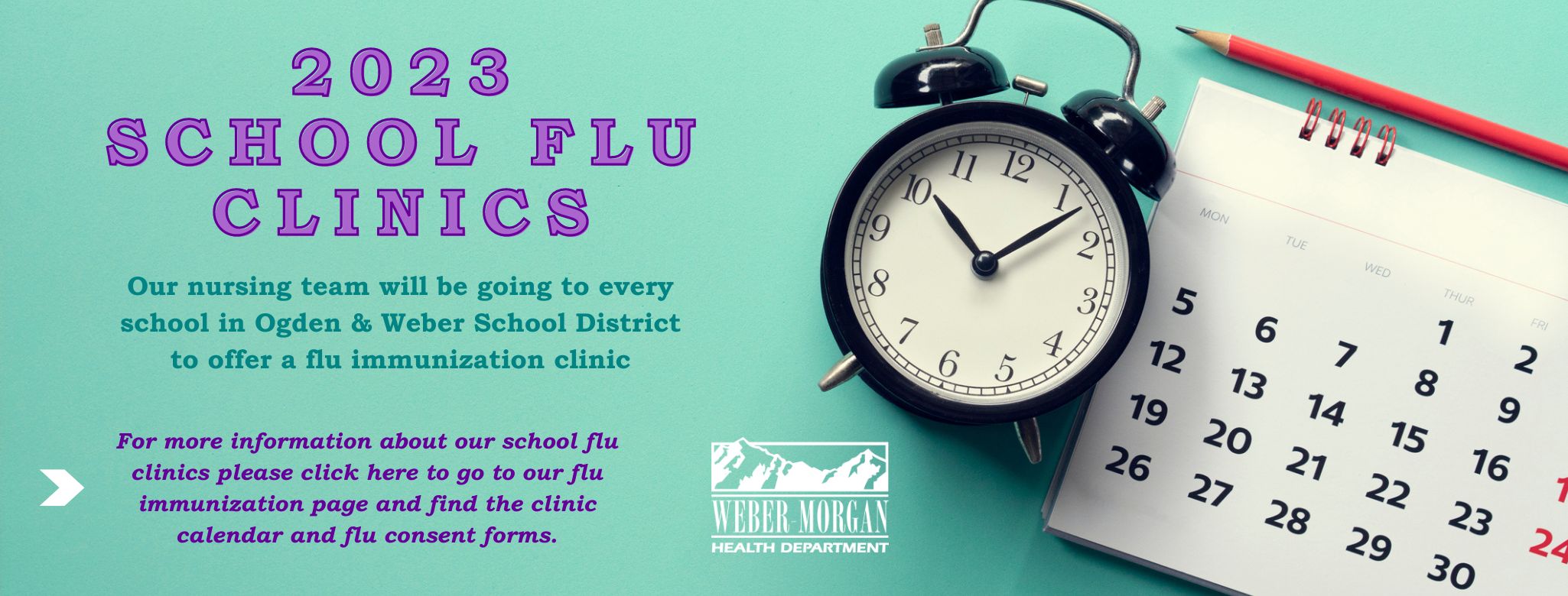 School Flu Clinins