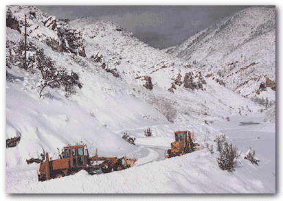 Winter Scene at Causey